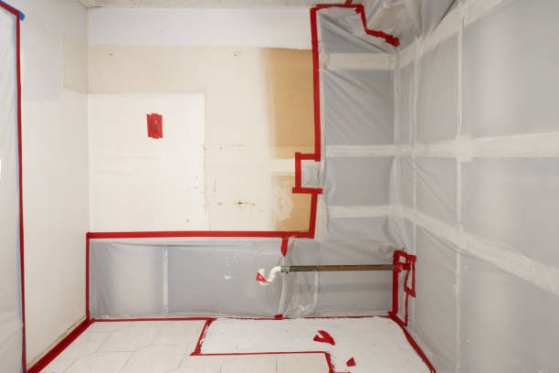 Best Black Mold Removal  in Monroe, NC
